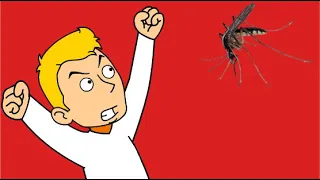 Fred VS The Mosquito