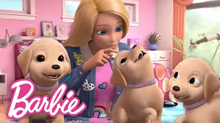 ¡Los mejores momentos de Barbie con animales! 🐶🐾 | Barbie Compilación