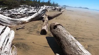 Raw Unedited Beachcombing in British Columbia, Canada - Part 1