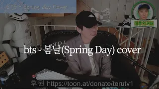 bts  - 봄날(Spring Day) Cover