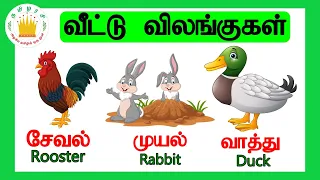வீட்டு விலங்குகள்|Learn Farm animal names in Tamil and  English  for Kids& Children|Tamilarasi