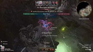 Zero damage spider matriarch — Honor Mode Attempt #7