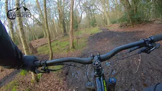 Epping forest MTB