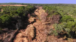 Low flying drone above Magalakwena river, South African Bushveld, Limpopo Province