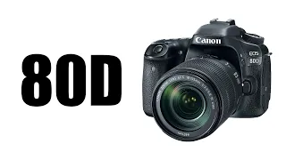 CANON 80D: универсальная зеркалка без недостатков. Трибьют моей рабочей лошадке (vs 70D и 90D).