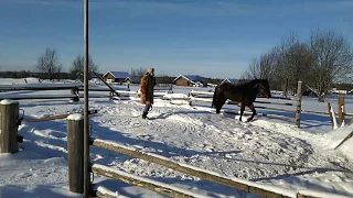 Жизнь в деревне зимой. Зарисовка.