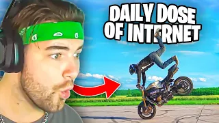 KingWoolz Reacts to DAILY DOSE OF INTERNET Wild Clips!!