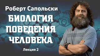 Роберт Сапольски. Биология поведения человека. Лекция 2