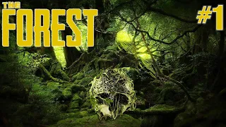 THE FOREST #1 LE DÉBUT D'UNE GRANDE AVENTURE - LET'S PLAY FRANÇAIS | THE FOREST GAMEPLAY FR