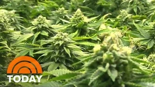 Middle-Aged Parents May Be More Likely To Smoke Pot Than Their Teens | TODAY