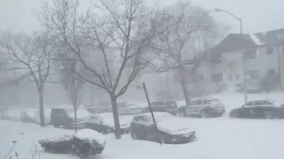 Start of Winter Storm Jonas in Queens (New York City)
