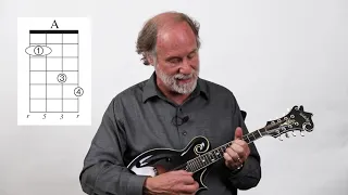 Dix Bruce: The Magic Mandolin Shape