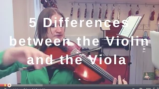 5 Differences between the Violin and the Viola