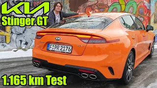 Kia Stinger GT 3.3 T-GDI AWD (366 PS) - Fahrbericht Test Bericht Kosten Verbrauch Meinung deutsch