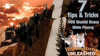 7 Useful Tips for Playing Yellowstone Unleashed Roblox
