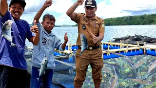 Jalan-jalan tempat wisata Budidaya Ikan & Lobster diButon desa Barangka