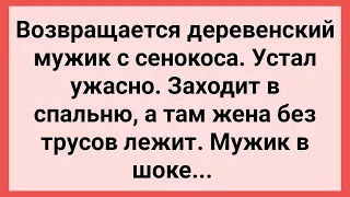 Мужик Застал свою Жену без Трусов! Сборник Свежих Смешных Жизненных Анекдотов!