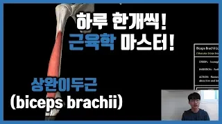 #3-1.상완이두근(위팔두갈래근,biceps brachii)/근육학 마스터/referred pain/MPS/trigger point/힐링무브/healing move/자세움직임