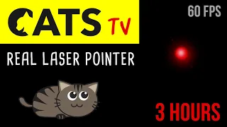 CATS TV - Real Laser Chaser 60FPS 🔴 - 3 HOURS (Video Game for Cats Only)