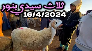 سوق ثلاث سيدي بنور  سعر الحولي 16/4/2024خيرات موجودة  بالدكالة رحبة الخروف آلعيد الأضحى المبارك 2024