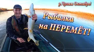 Как Ловить на Перемет! Отличная Рыбалка, р.Чулым!