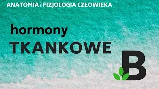 hormony tkankowe - ANATOMIA i FIZJOLOGIA człowieka - KOREPETYCJE z BIOLOGII - 260