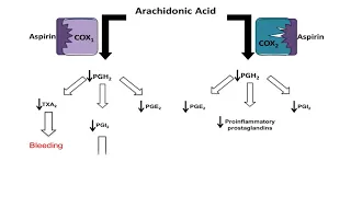 Asprin (NSAID) - Mechanism of Action; anti-inflammatory action