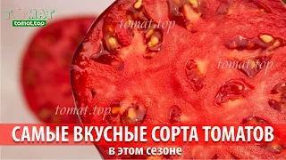 Самые вкусные сорта томатов в этом сезоне. Эти томаты смогут удивить своим вкусом! Вкусные томаты!