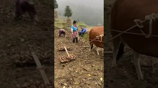 Rural Life in China