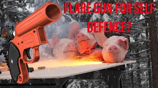 Flare Gun For Self Defense??? (vs pig heads)