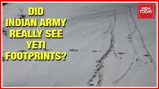 Mythical 'Yeti' Footprints Spotted At Makalu Base Camp In Nepal, Indian Army Shares Pics