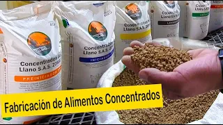 ASÍ SE FABRICAN LOS ALIMENTOS CONCENTRADOS