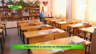 Наркотиков в школах не обнаружено  Новости Кирова 04 10 2019