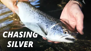 Chasing Silver - Early Spring Sea Trout Fishing (Is The Ragworm Active Yet?!