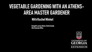 Vegetable Gardening with an Athens-Area Master Gardener