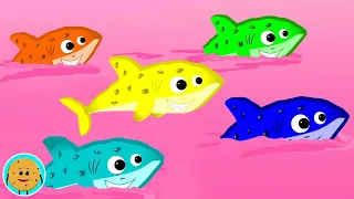 Five Little Sharks, Numbers Song + More Nursery Rhymes for Children