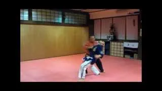 JJKI Ju Jitsu - Sensei Mancini 7th dan - part2 (WJJF-Aus)