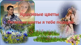 КРАСИВЫЕ ЦВЕТЫ, ПОЛЕВЫЕ ЦВЕТЫ  Я ТЕБЕ ПОДАРЮ