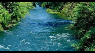 Joe Bonamassa - The River w/lyrics