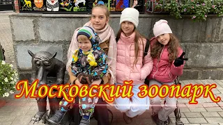 Московский зоопарк. Куда сходить многодетным семьям отдохнуть бесплатно в Москве.