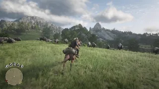 RDR2- Arthur's turn for a Wild Bison Slip and Slide