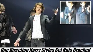 Harry Styles Gets Hit in the Nuts With a Shoe