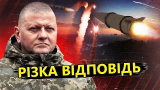 ОЦЕ ТАК СЛОВА! / Залужний ЕМОЦІЙНО звернувся до західних чиновникаів @RashkinReport