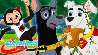 Zu den Hunden gegangen | DC Super Hero Girls auf Deutsch