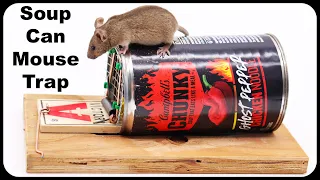 How To Make A Live Catch Mouse Trap Using A Soup Can & A Snap Trap. Mousetrap Monday.