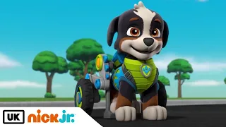 PAW Patrol | Dino Rescue: The Pups Meet Rex! | Nick Jr. UK