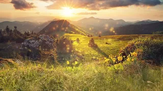 🙏😇Мольба во исцеление всех болезней! Вы сразу ощутите изменения в организме!