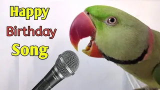 Parrot Singing and Dancing HAPPY BIRTHDAY SONG like a Human