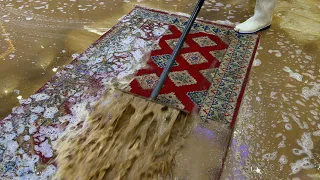 The Carpet Has Become Lighter, Carpet Cleaning Satisfying Rug Cleaning ASMR - Satisfying Video