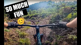 My Favourite Trails in England (Hanchurch Woods)